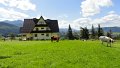 DSC02209 01